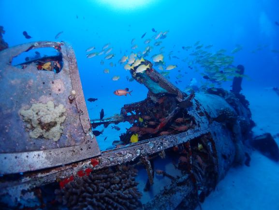 Corsair Wreck Diving - Oahu, Hawaii